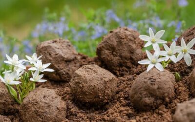 Jakie kwiaty najlepiej rosną na ziemi gliniastej?