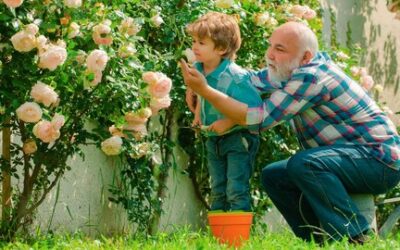Jakie rośliny najlepiej komponują się z różami pnącymi w ogrodzie?