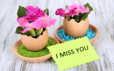 Jak często kwitnie juka – tylko raz czy regularnie?