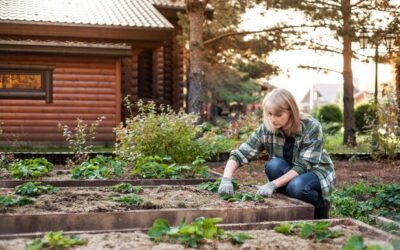 Jak stworzyć atrakcyjną rabatę przed domem bez większego wysiłku?