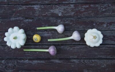 Dlaczego Twój czosnek nie kwitnie i jak temu zaradzić?