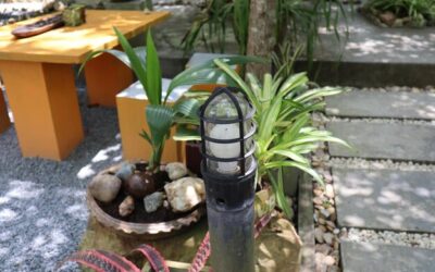 Fontanna w ogrodzie – jak stworzyć oazę relaksu na własnym podwórku?