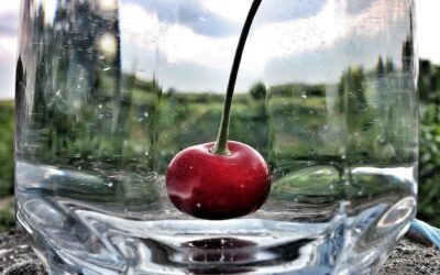 Jak przywrócić blask i wigor starzejącej się juce?