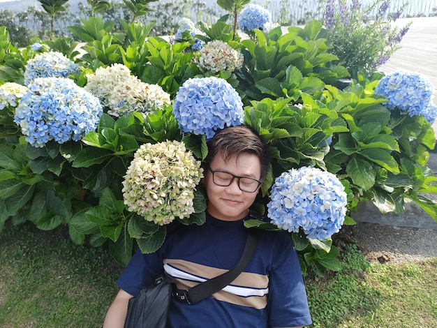 Jak rozplanować sadzenie hortensji w ogrodzie?