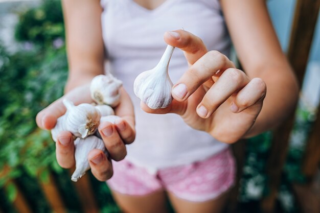 Jak rozpoznać, że czosnek dojrzał i jest gotowy do zbioru?