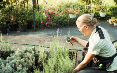 Jak urządzić działkę ogrodową, by stała się oazą relaksu?