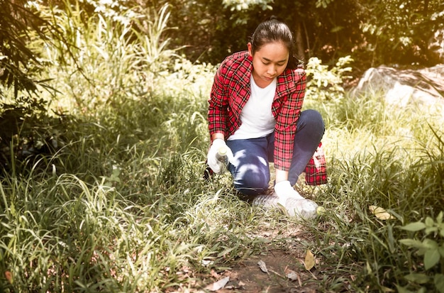 Jak zasiać trawnik i cieszyć się bujną zielenią?