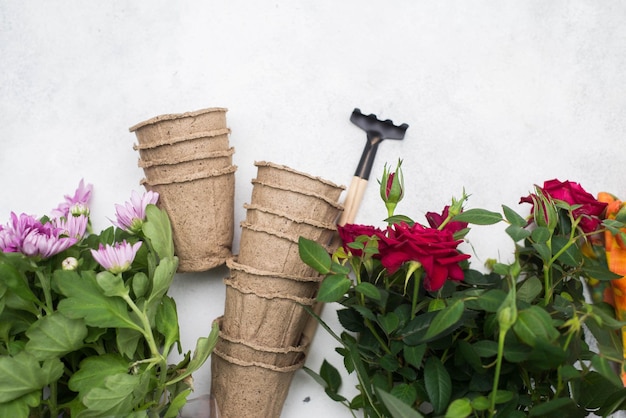 Jak zrobić klomb kwiatowy, który zachwyci sąsiadów?