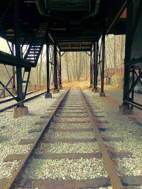 Jaki jest idealny moment na przesadzanie trawy ozdobnej?