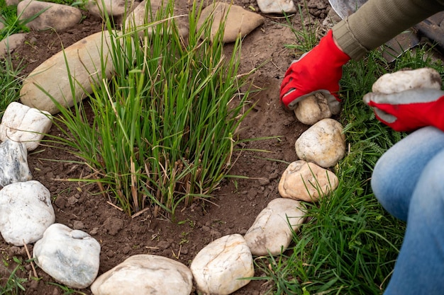 Tajniki rozmnażania traw ozdobnych w przydomowym ogrodzie