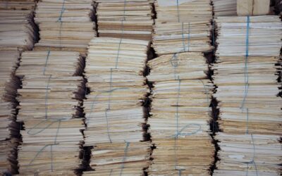 Outsourcing niszczenia dokumentów – dlaczego warto?