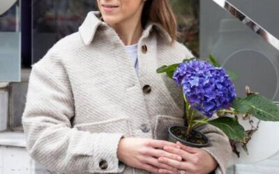 Jak dobrać idealne stanowisko dla hortensji w ogrodzie?