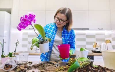 Jak sadzić kwiaty w gazonach, by cieszyły oko przez cały sezon?