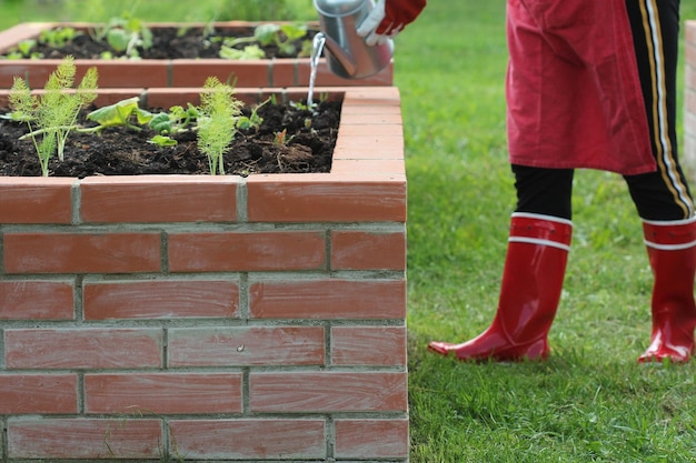 Jak stworzyć zieloną oazę na balkonie, czyli urządzanie małego ogródka w bloku?