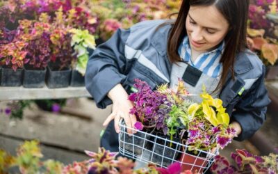Jak urządzić rabatę kwiatową, by cieszyła oko przez cały sezon?