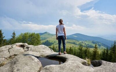 Jak zagospodarować skarpę w ogrodzie?
