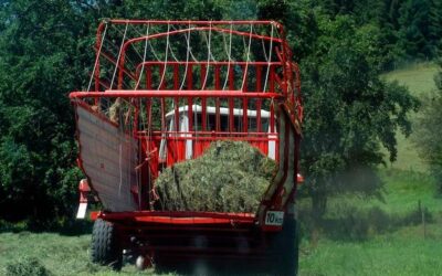 Jaka klasa efektywności energetycznej kotła Stalmark typu AGRO?