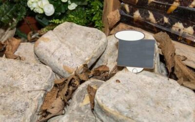 Naturalne piękno ogrodu – jak wykorzystać duże kamienie?