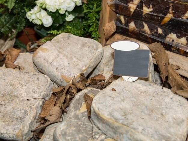 Naturalne piękno ogrodu - jak wykorzystać duże kamienie?