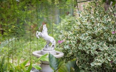 Jak samodzielnie zrobić prostą fontannę do ogrodu?