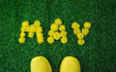 Od kiedy do kiedy pyli trawa – kalendarz alergika