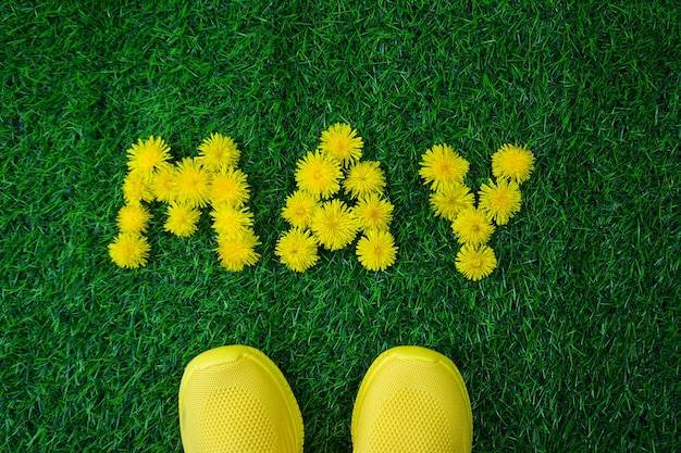 Od kiedy do kiedy pyli trawa – kalendarz alergika