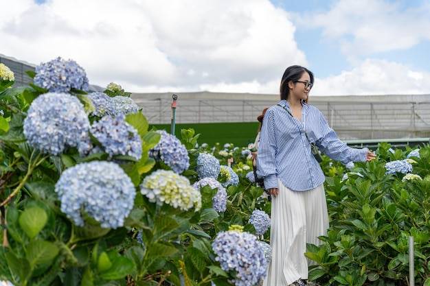 W jakiej odległości sadzić hortensje, aby cieszyły oko w ogrodzie?